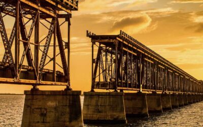 Navigate Workplace Fractures with Vibrant Relationships