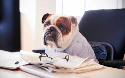 How to Deal with Unbearable Colleagues