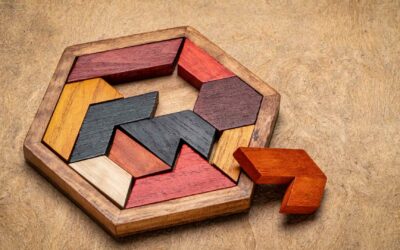Gut Versus Mind in Decision-Making